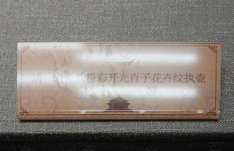 清 道光款粉彩开光百子花卉纹执壶 - 图8