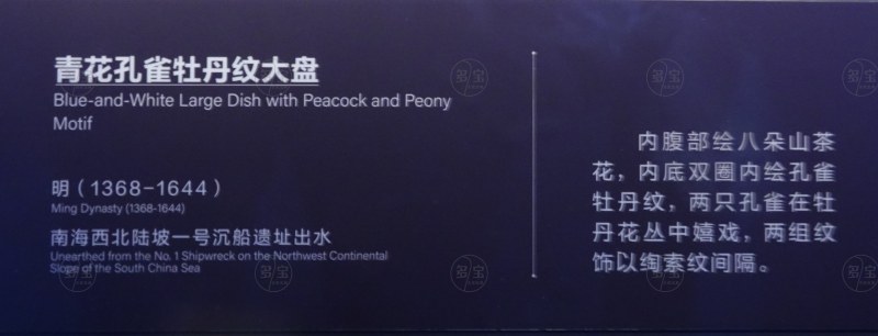 明（1368-1644） 青花孔雀牡丹纹大盘 - 图2