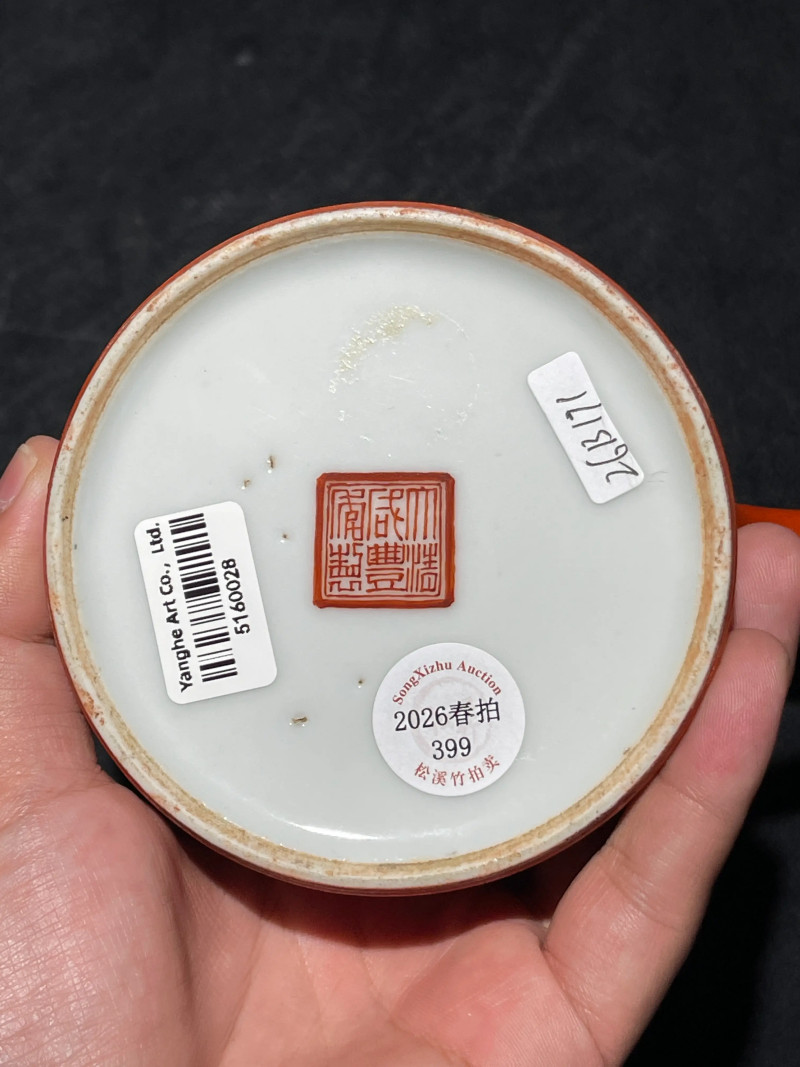 清咸丰 珊瑚红地粉彩花鸟纹执壶 - 图13
