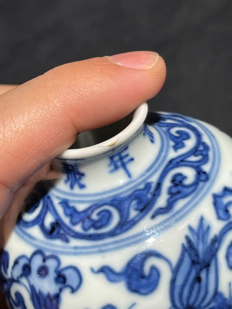 清雍正 青花缠枝花卉纹梅瓶 - 图12