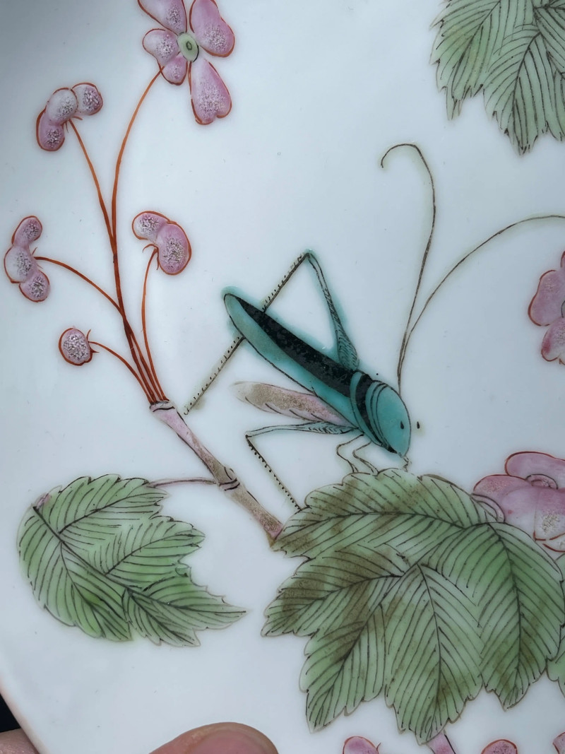 清同治 粉彩虫草纹盘 - 图3