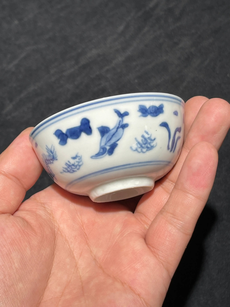 清康熙 青花鱼藻纹小杯一组五件 - 图2