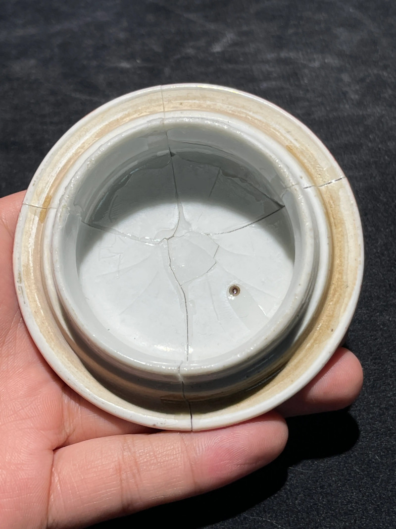 清咸丰 珊瑚红地粉彩花鸟纹执壶 - 图18