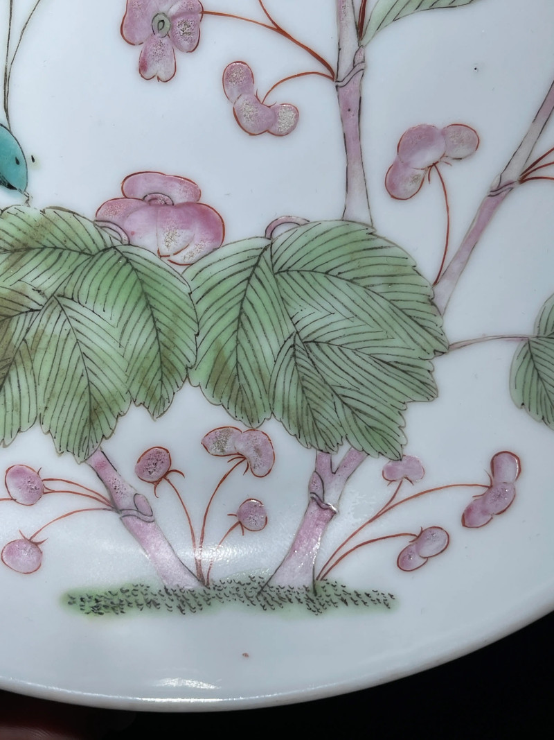 清同治 粉彩虫草纹盘 - 图5