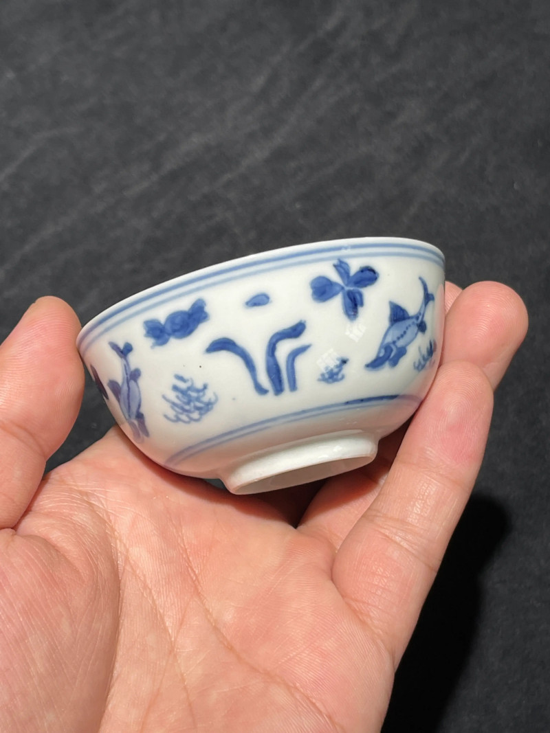 清康熙 青花鱼藻纹小杯一组五件 - 图3