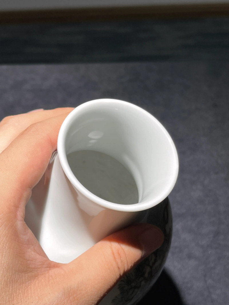 民国 粉彩驱邪降福纹莱菔瓶 - 图9