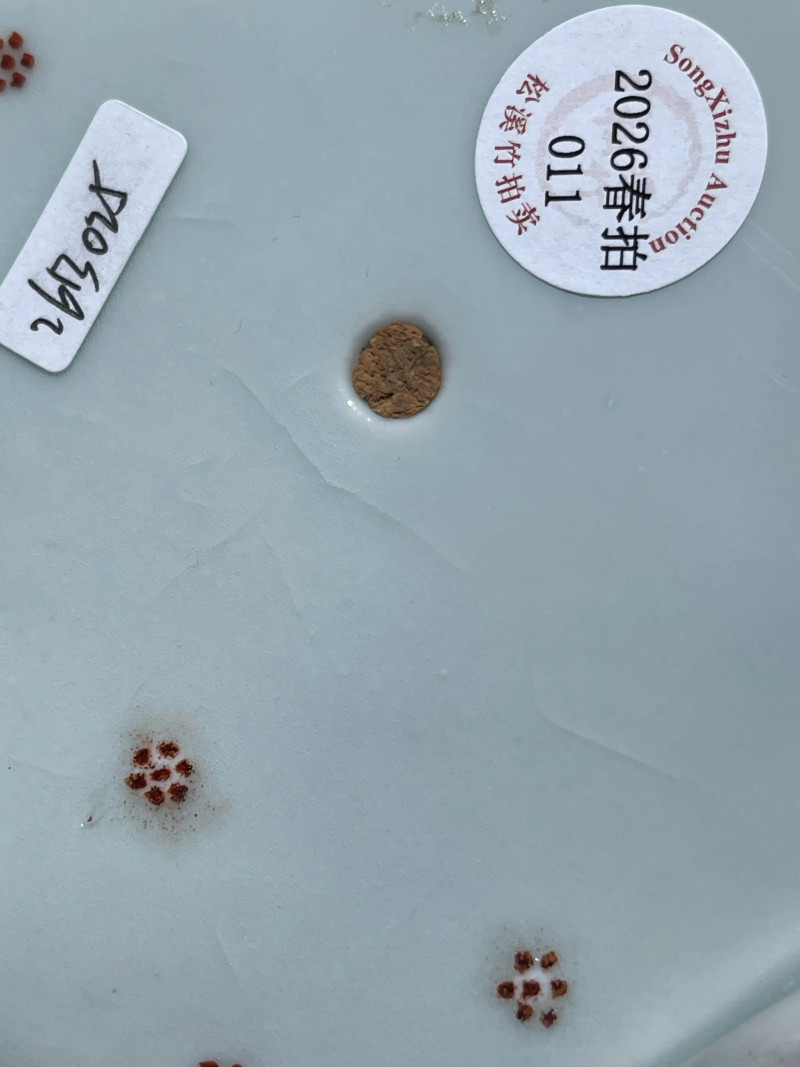 清中期 青花粉彩西番莲纹花口盆 - 图11