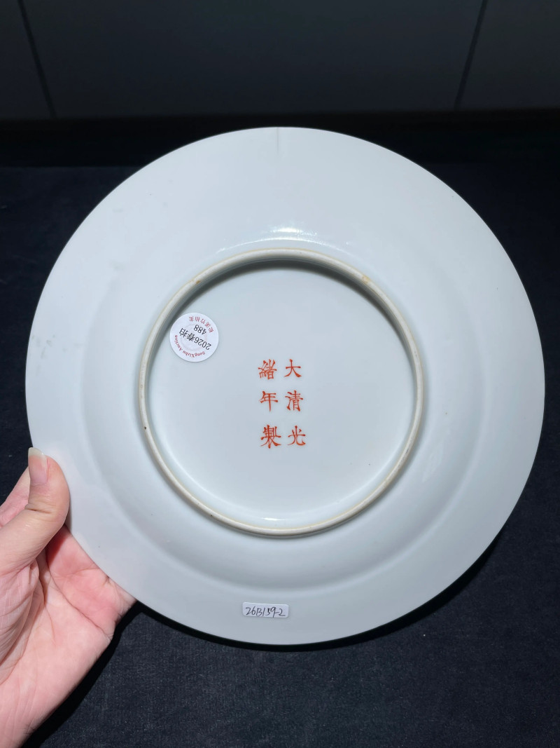 清光绪 粉彩八宝龙纹盘一对 - 图17