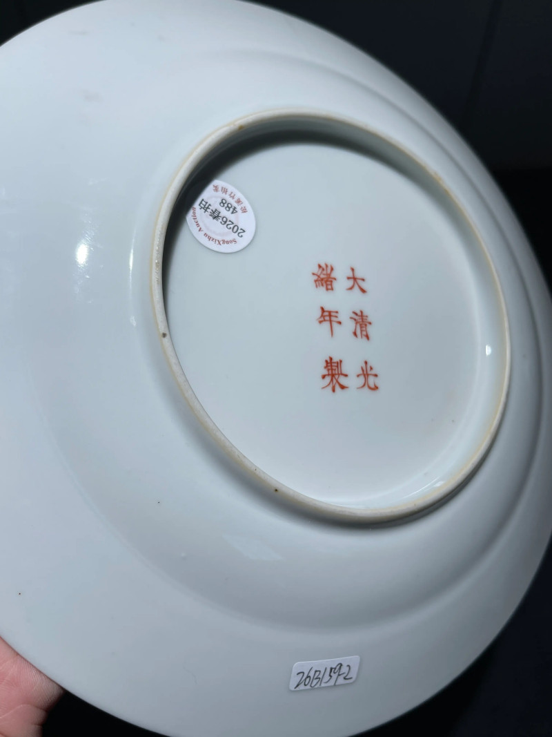清光绪 粉彩八宝龙纹盘一对 - 图19