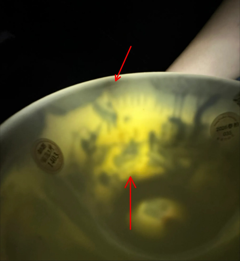 清道光 青花婴戏纹碗 - 图13