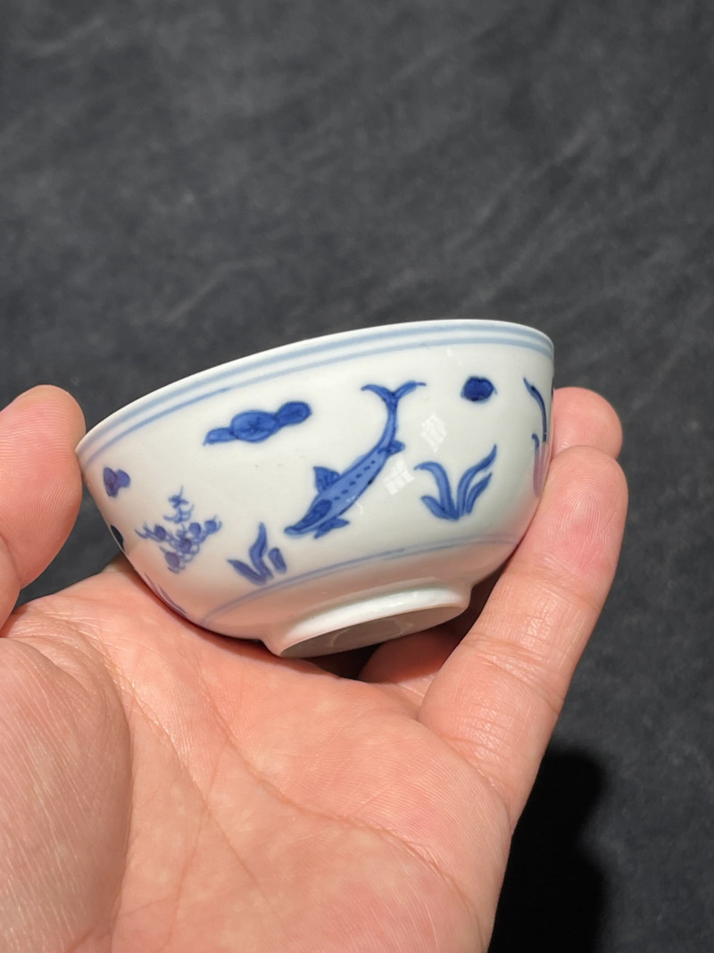 清康熙 青花鱼藻纹小杯一组五件 - 图21