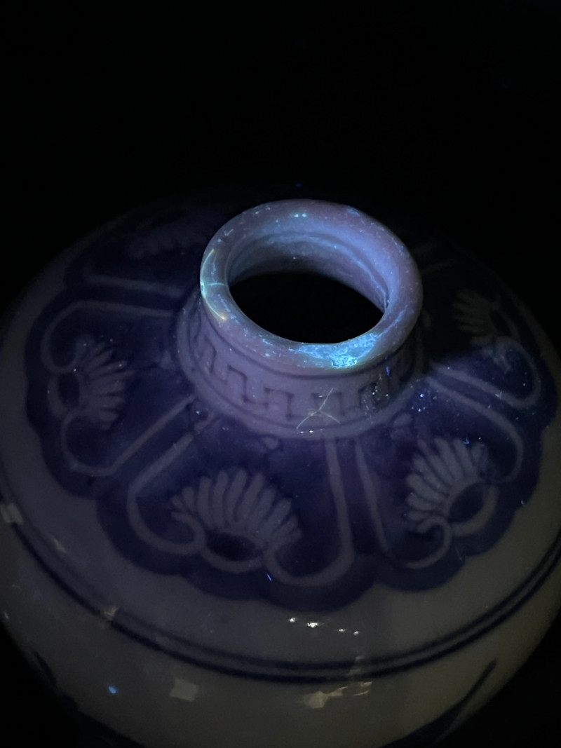 清雍正 青花花卉纹梅瓶 - 图11