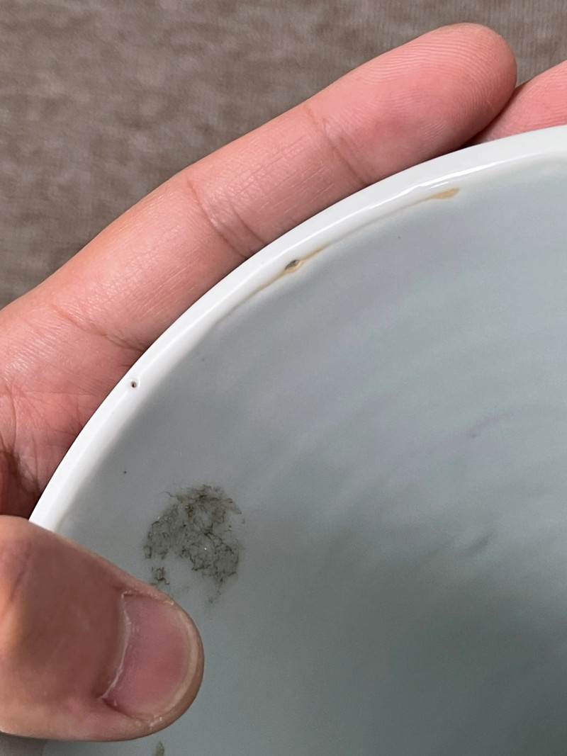 清光绪 粉彩灵仙祝寿纹天球瓶 - 图16