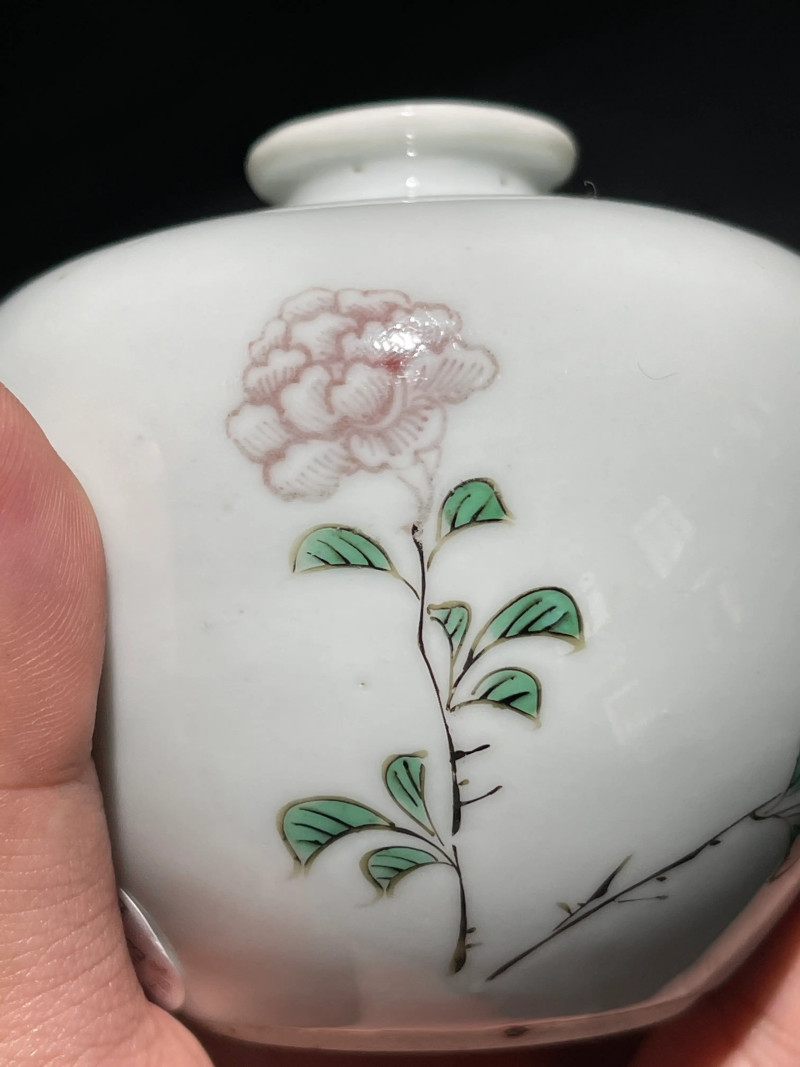 清光绪 仿康熙釉里红加五彩花卉纹苹果尊 - 图5