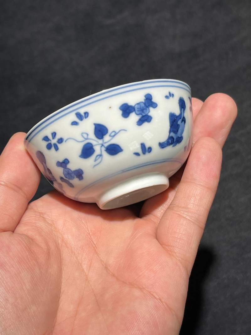 清康熙 青花鱼藻纹小杯一组五件 - 图27