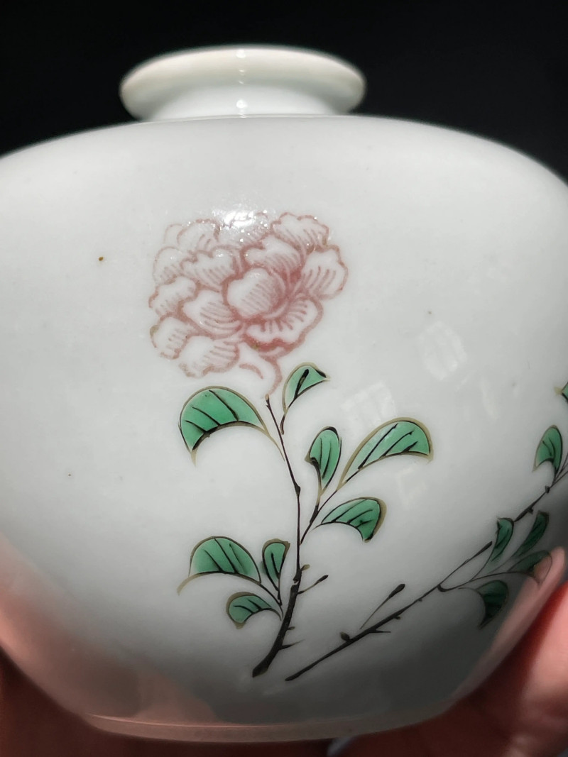 清光绪 仿康熙釉里红加五彩花卉纹苹果尊 - 图7