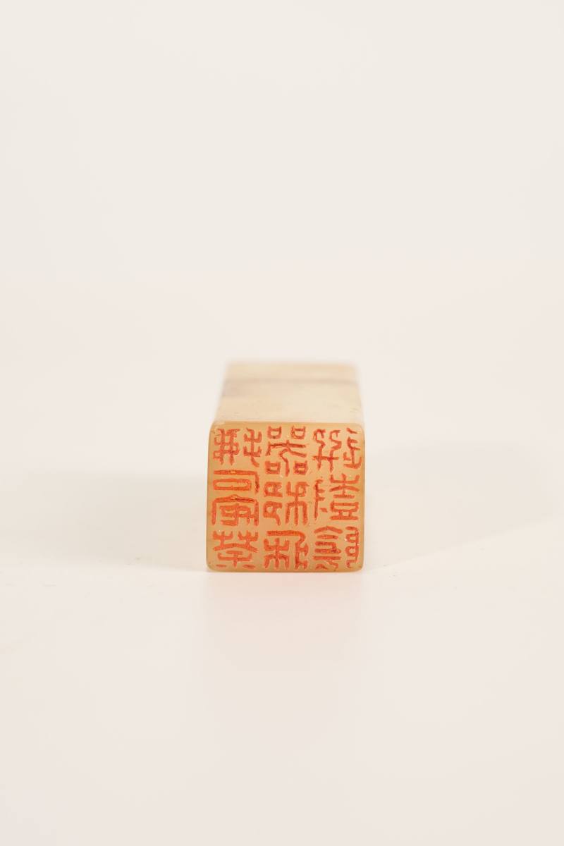 Lot1013 清 寿山“何汝霖”款印章 - 图4