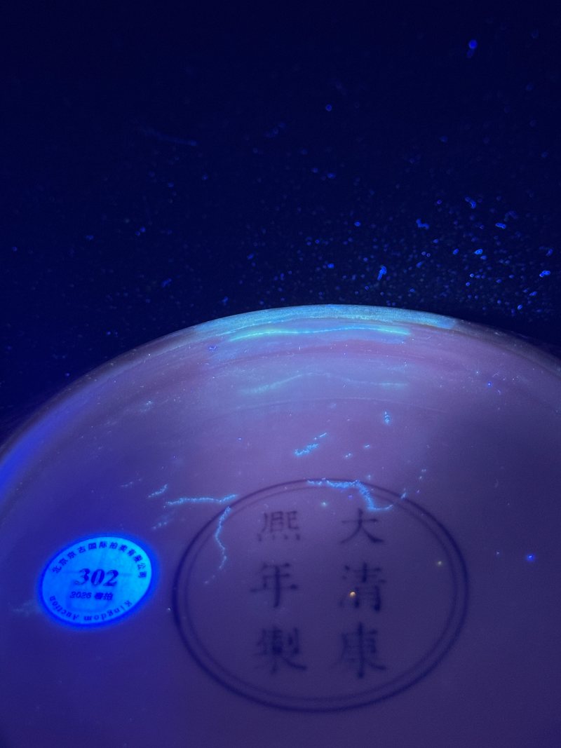 清康熙 矾红彩缠枝牡丹纹盘 - 图13