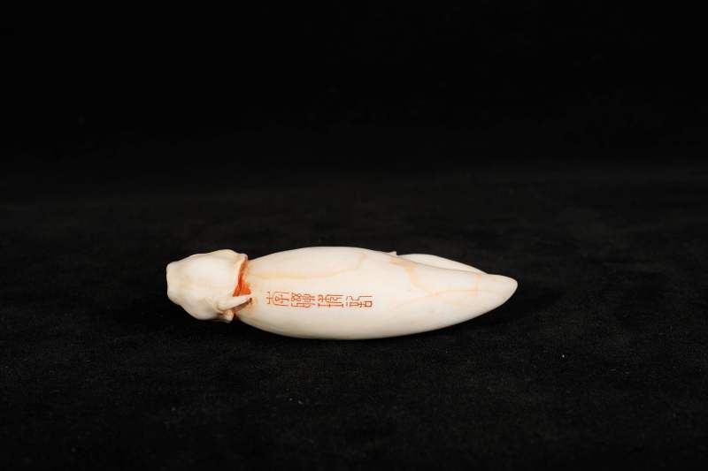 Lot1000 清 白端“李联珍记”蟹爪镇纸 - 图3