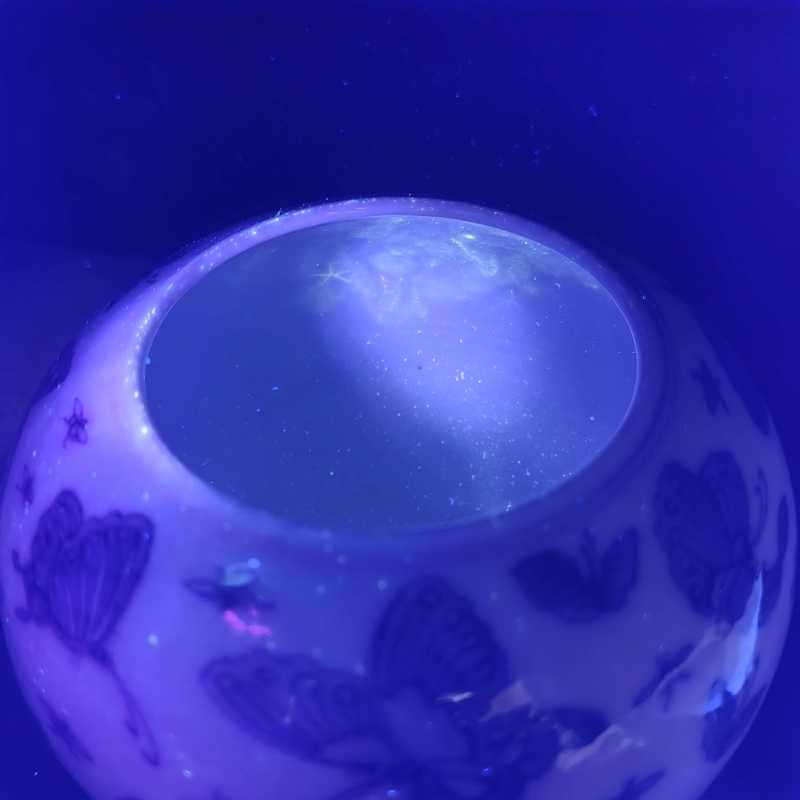 清光绪 青花百蝶纹水洗 - 图2