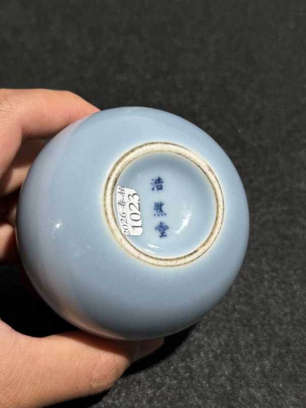 清道光 天蓝釉堆白花卉纹石榴尊 - 图9