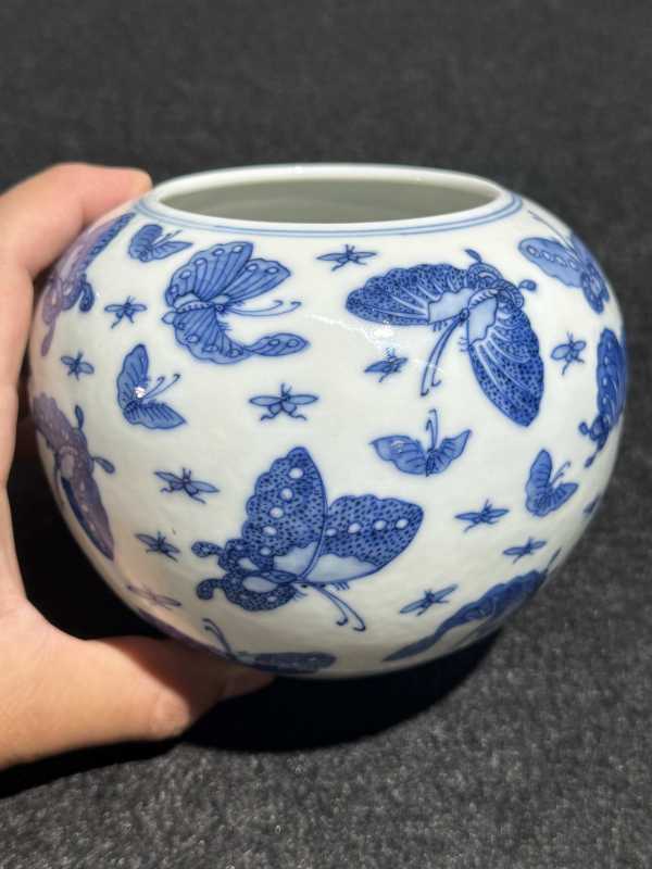 清光绪 青花百蝶纹水洗 - 图6