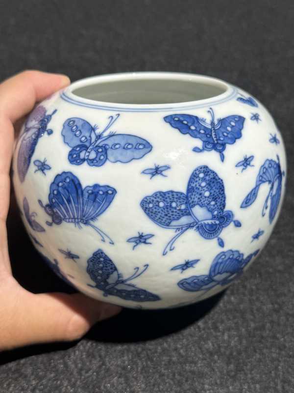 清光绪 青花百蝶纹水洗 - 图7