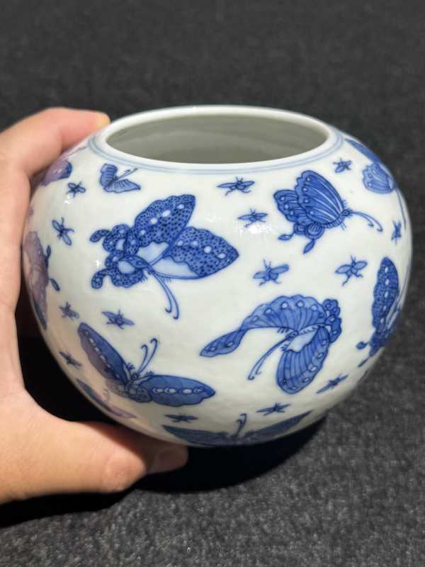 清光绪 青花百蝶纹水洗 - 图8