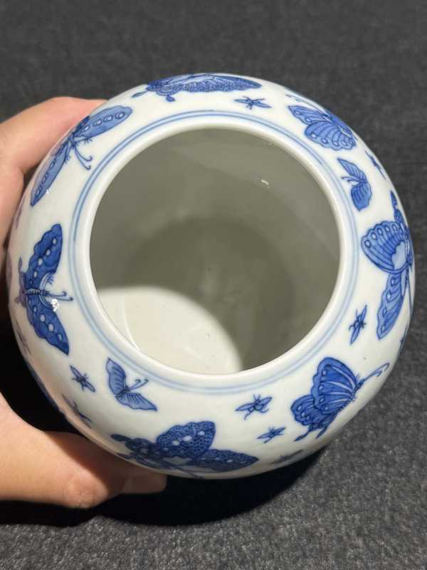 清光绪 青花百蝶纹水洗 - 图9