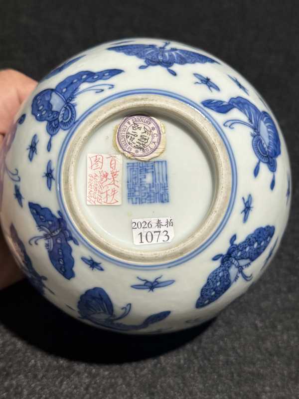清光绪 青花百蝶纹水洗 - 图11