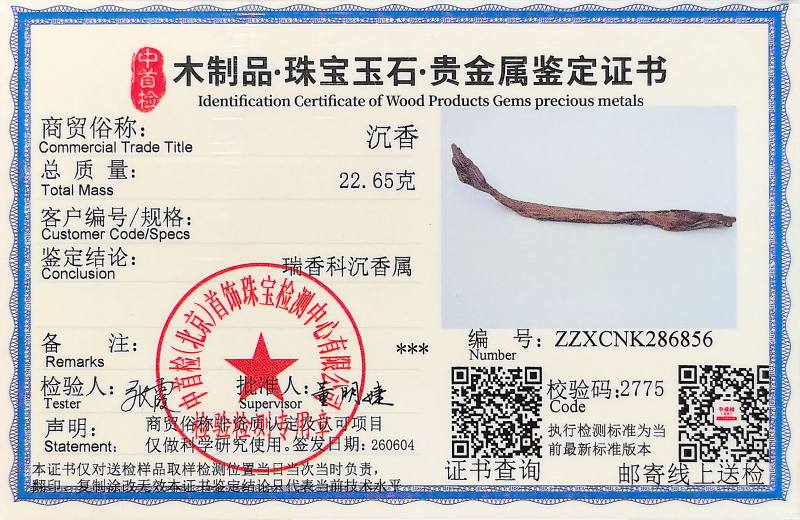 越南芽庄 沉水 红土奇肉｜步步生香·蜗牛禅意摆件 收藏级 - 图19