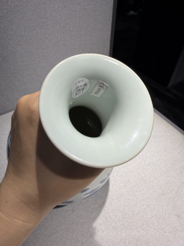 清咸丰 青花芭蕉纹玉壶春瓶 - 图9