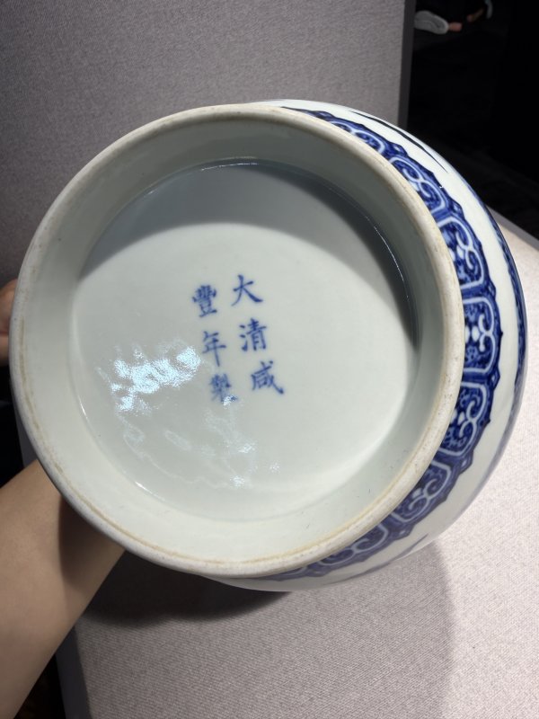 清咸丰 青花芭蕉纹玉壶春瓶 - 图14