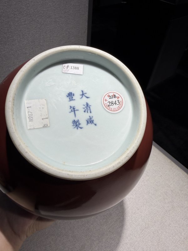 清咸丰 红釉玉壶春瓶 - 图14