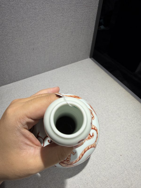 清雍正 矾红龙纹小蒜头瓶 - 图9