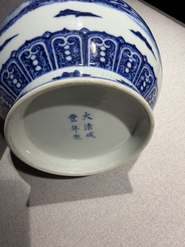 清咸丰 青花芭蕉纹玉壶春瓶 - 图11