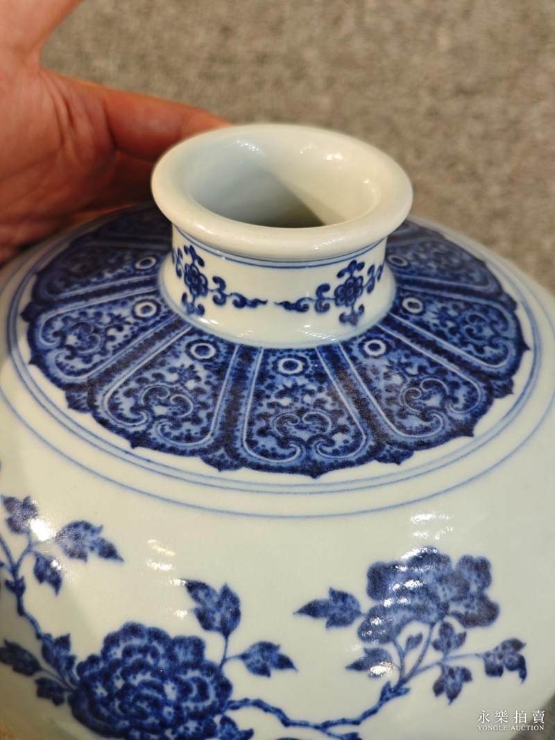 清乾隆 青花折枝花果纹梅瓶 - 图9