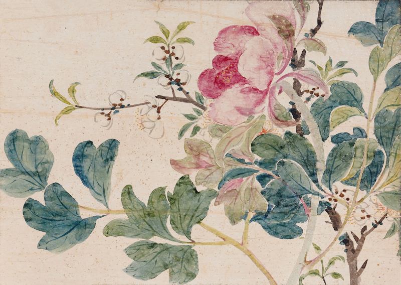近现代 无款 花卉册页
