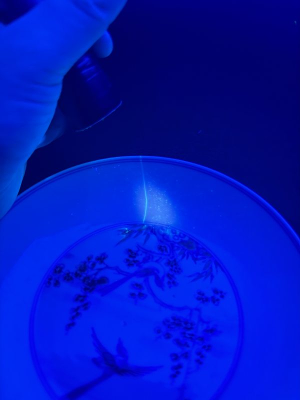 清康熙 斗彩喜上眉梢纹盘（一对） - 图18