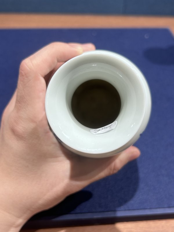 民国 王步青花花鸟图瓶一对 - 图8