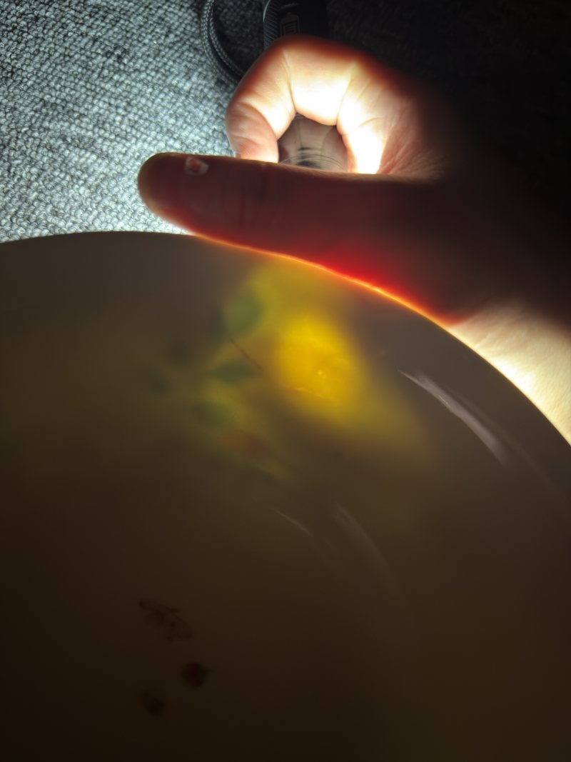 清雍正 粉彩洞石花卉纹碗 - 图10