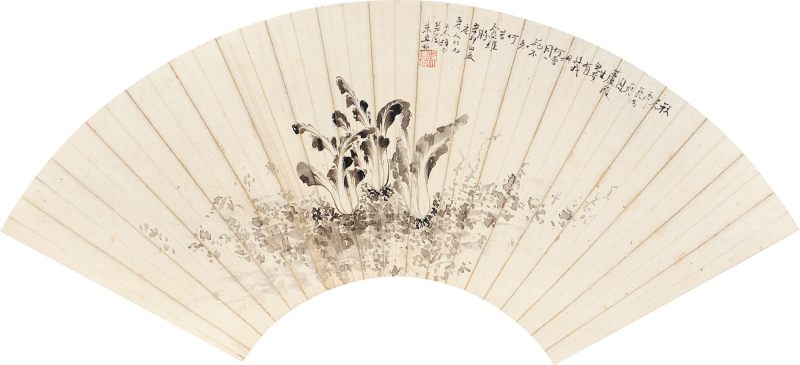 近现代 朱纷兰 莱菔扇页