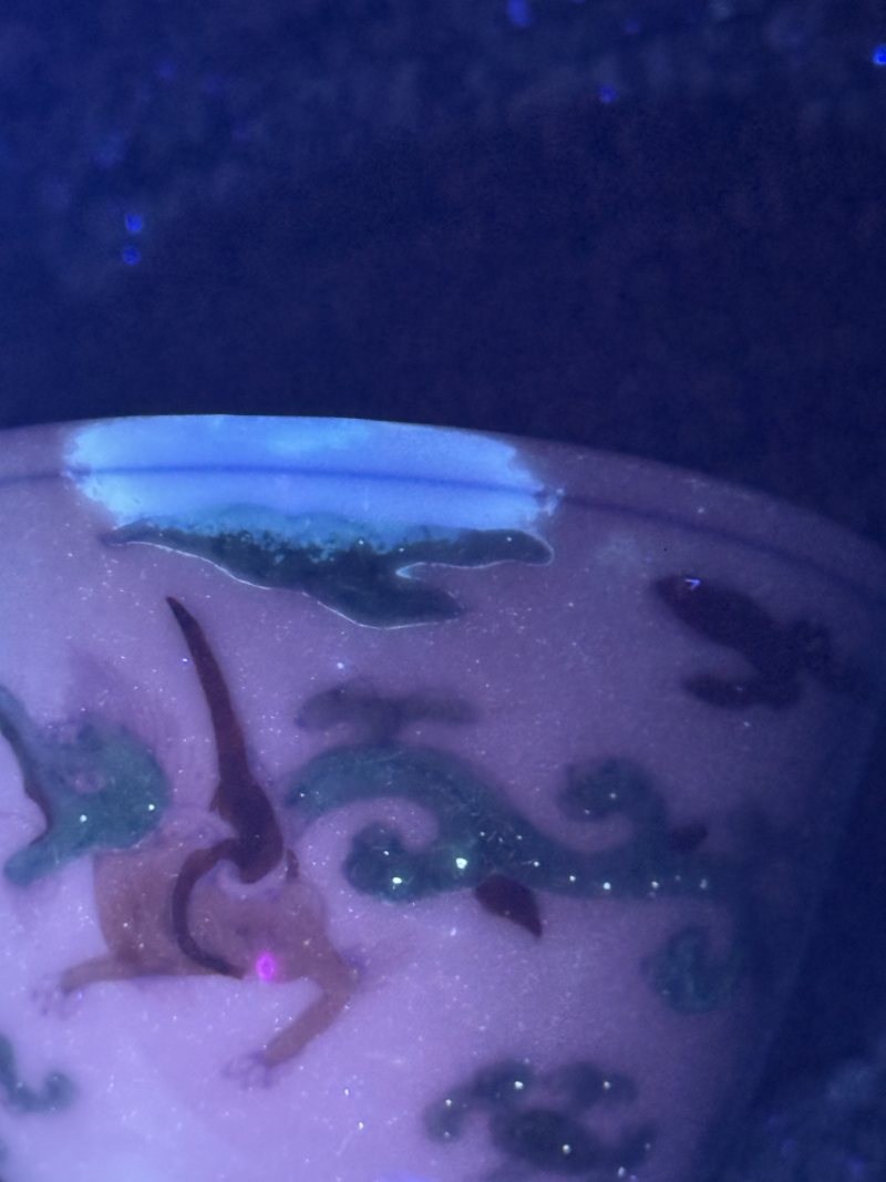 清雍正 斗彩香草龙纹杯 - 图13