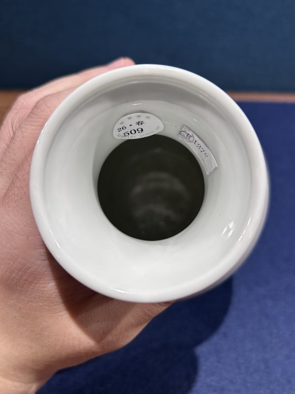 民国 粉彩乾隆鸡缸杯图胆瓶 - 图6
