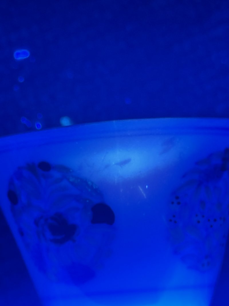 清雍正 斗彩团花纹马蹄杯 - 图14