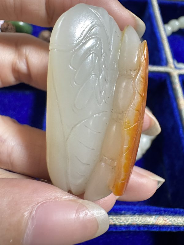 清 洒金皮玉蝉 - 图5