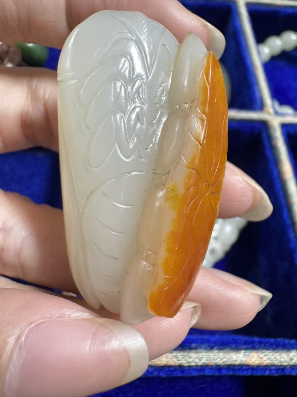 清 洒金皮玉蝉 - 图6