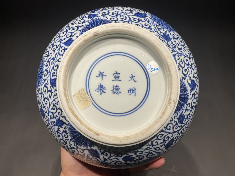 清康熙 青花缠枝莲纹直颈瓶 - 图12