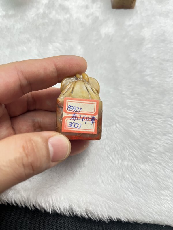龙、瓜果钮石印章一组 - 图8