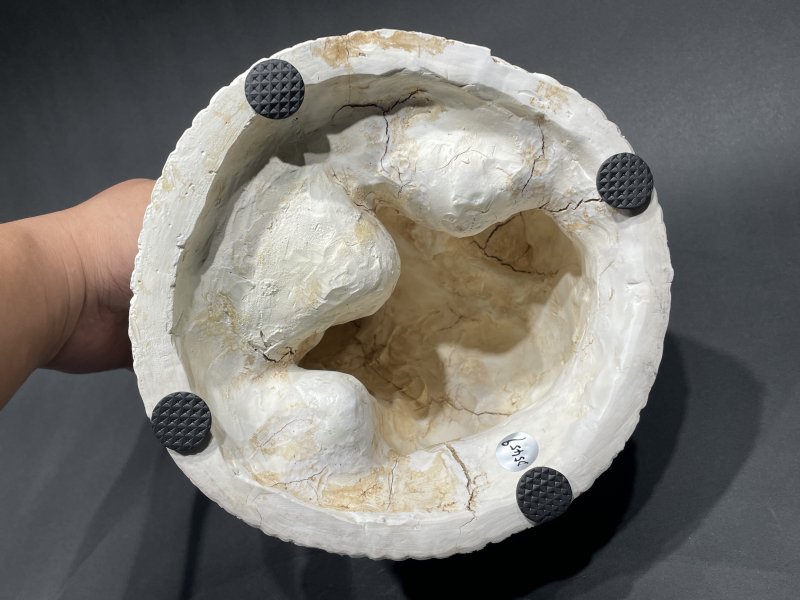 明 邢窑白釉狮子瓷塑 - 图9